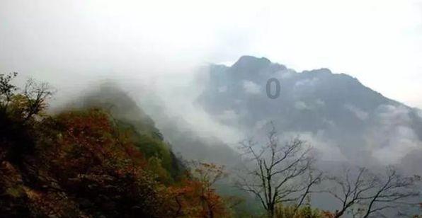 红枣蛋糕配红糖水，这才是女人生理期的补血神器！